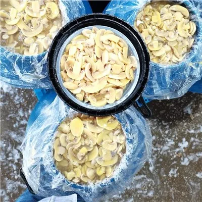 Champignon Champignon Pilz in Sole schneiden