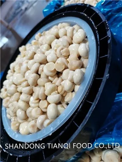 Essig-weißer Pilz in Fässern