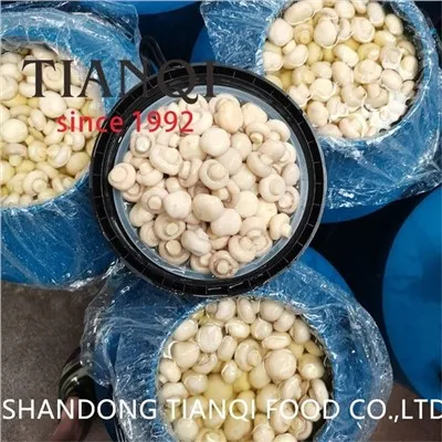 Frisch konservierter weißer Pilz in SO2 in Fässern