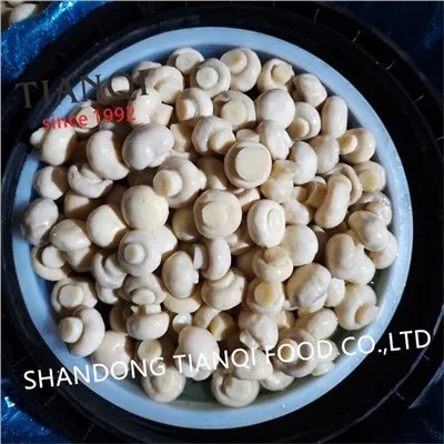 Ganzer Knopfpilz in Essig in Trommeln