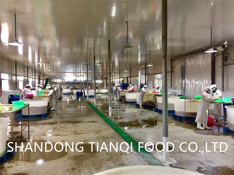 Mushroom factory tianqi Mushroom factory tianqi