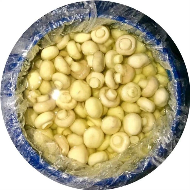 Whole white button mushroom in salted water in barrel
