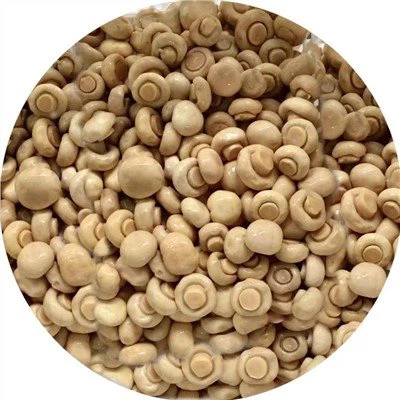 Eingelegter Pilz in der Trommel