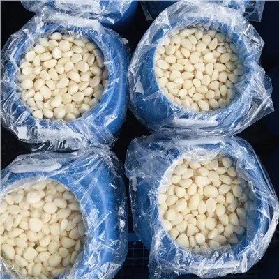 Frisch geschälter Knoblauch in Sole in Trommeln