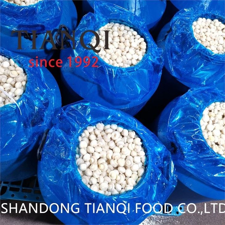 Brined cultivated mushroom in drums