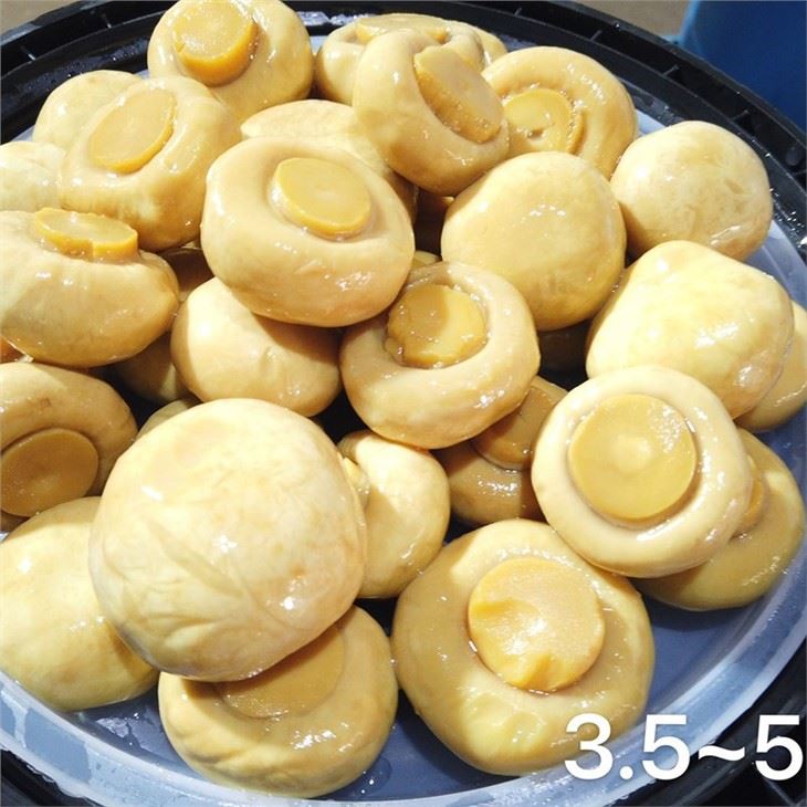 4-6cm whole white champignon in brine in drums