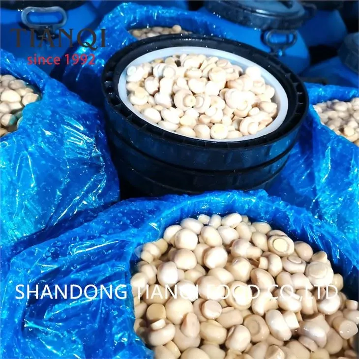 Pilz in Fässern in der Essigfabrik