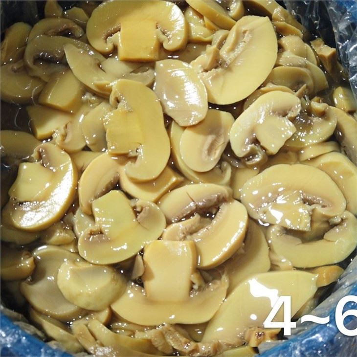 Pickled sliced white champignon mushroom in plastic drums