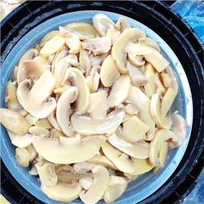 Neue Ernte Hochwertige gesalzene Scheibe Champgignon Pilz in Trommel