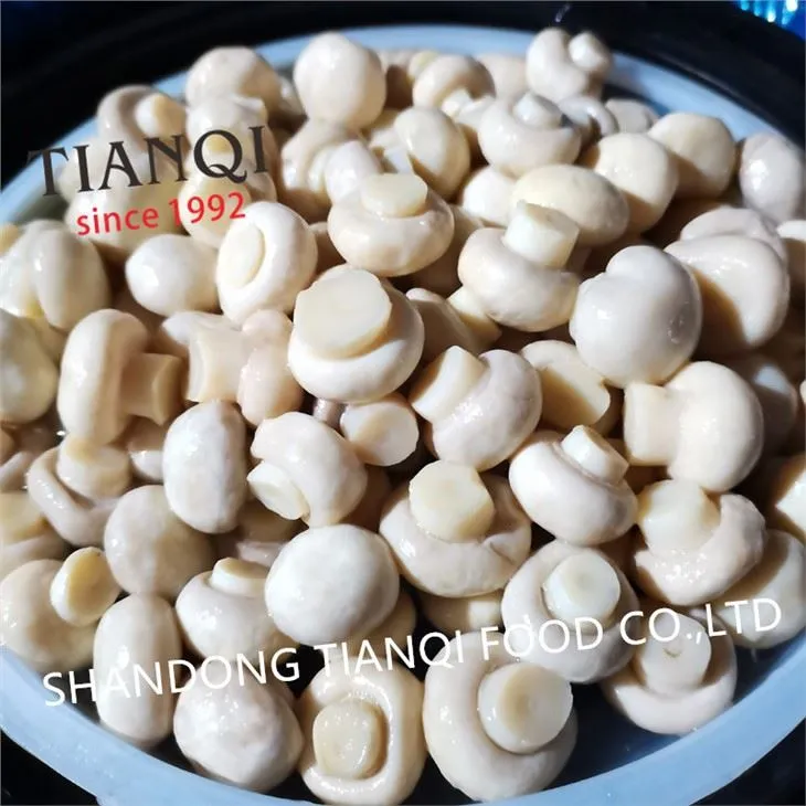 Ganzer weißer Fabrikpilz in Essig in Fässern