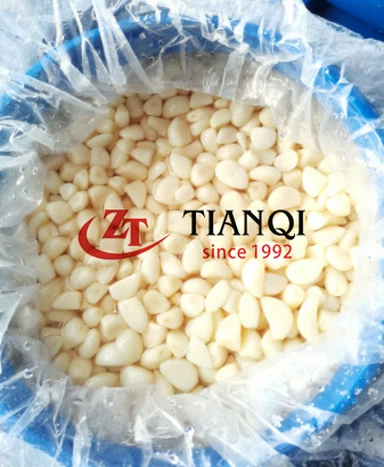 Gesalzene, geschälte Knoblauchzehe in Salzlake in Fässern